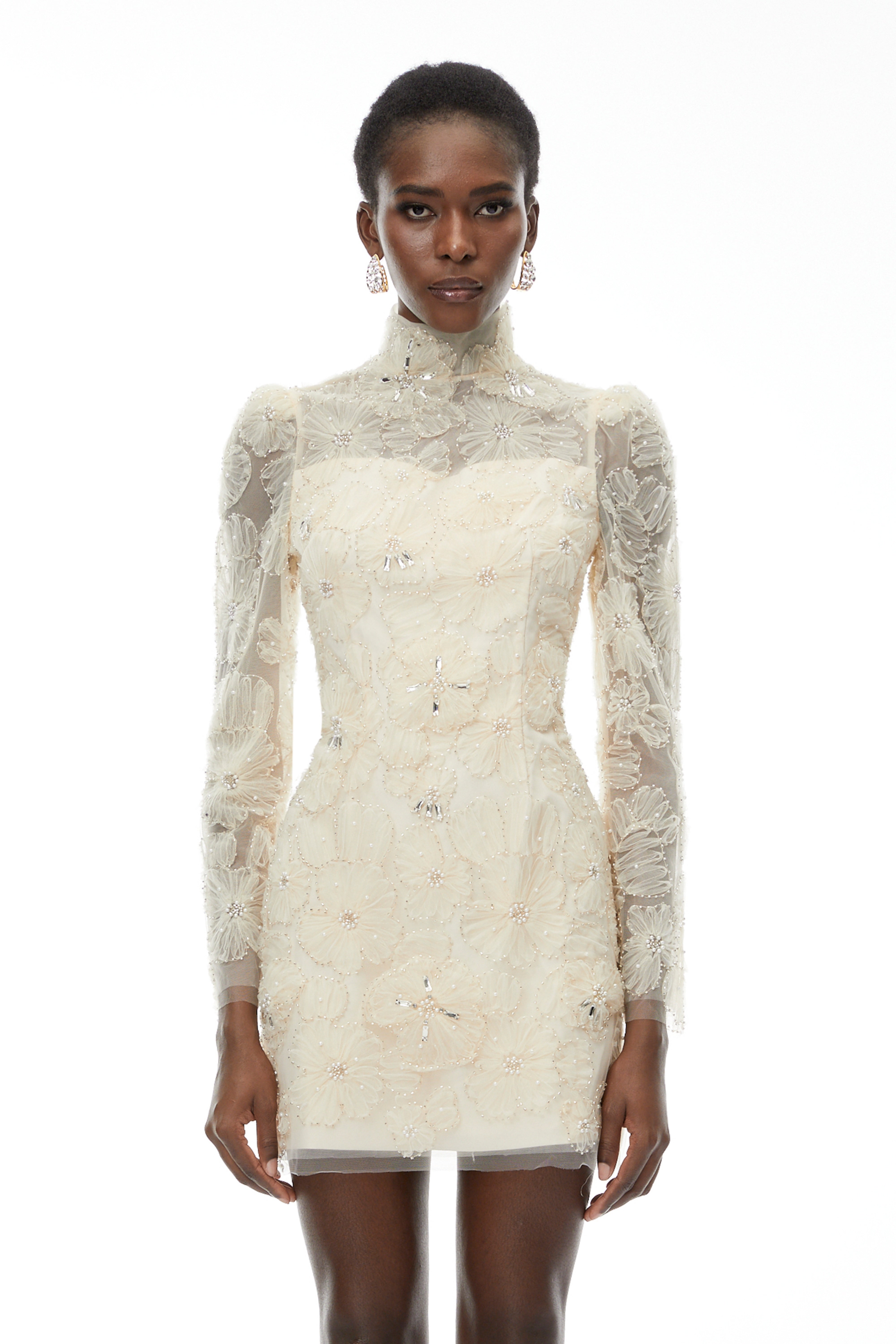 Aurélie Neutral Lace Embroidered Mini Dress