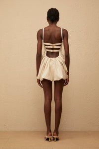 Inaya Neutral Panel Corset Mini Dress
