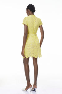 Charlotte Yellow Floral Lace Mini Dress