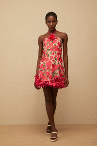 Doriane Red Halterneck Floral Embroidered Mini Dress