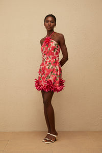 Doriane Red Halterneck Floral Embroidered Mini Dress