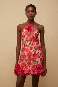Doriane Red Halterneck Floral Embroidered Mini Dress