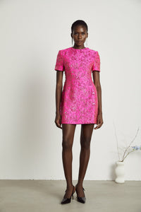 Celestia Floral-Appliqué Embellished Mini Dress in Pink