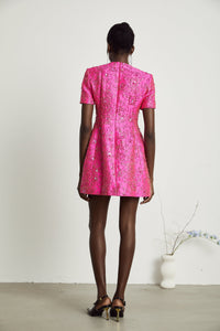 Celestia Floral-Appliqué Embellished Mini Dress in Pink