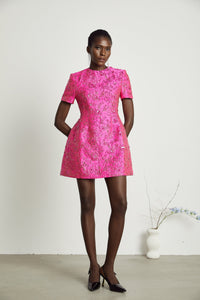 Celestia Floral-Appliqué Embellished Mini Dress in Pink