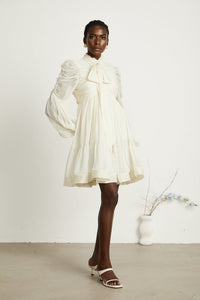 Thibaulte tuck-detail pleated tulle mini dress