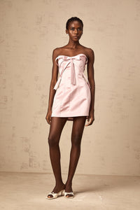 Lola pink bowknot A-line mini dress