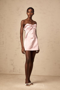 Lola pink bowknot A-line mini dress