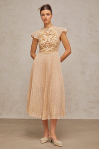 Nerissa embroidered pleated midi dress