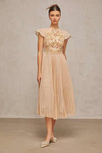 Nerissa embroidered pleated midi dress