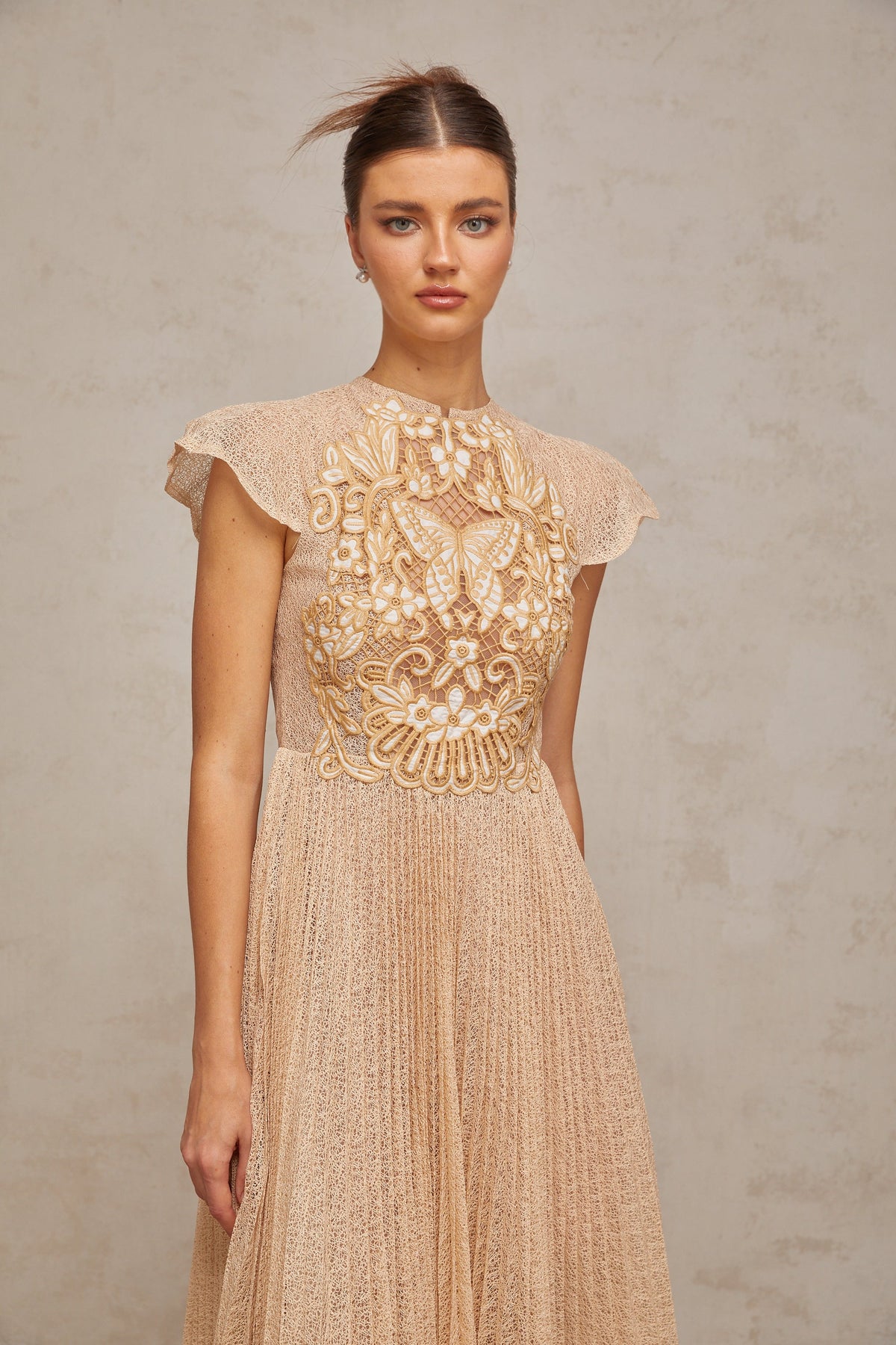 Nerissa embroidered pleated midi dress