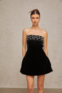 Sandrine crystal-embellished velvet mini dress