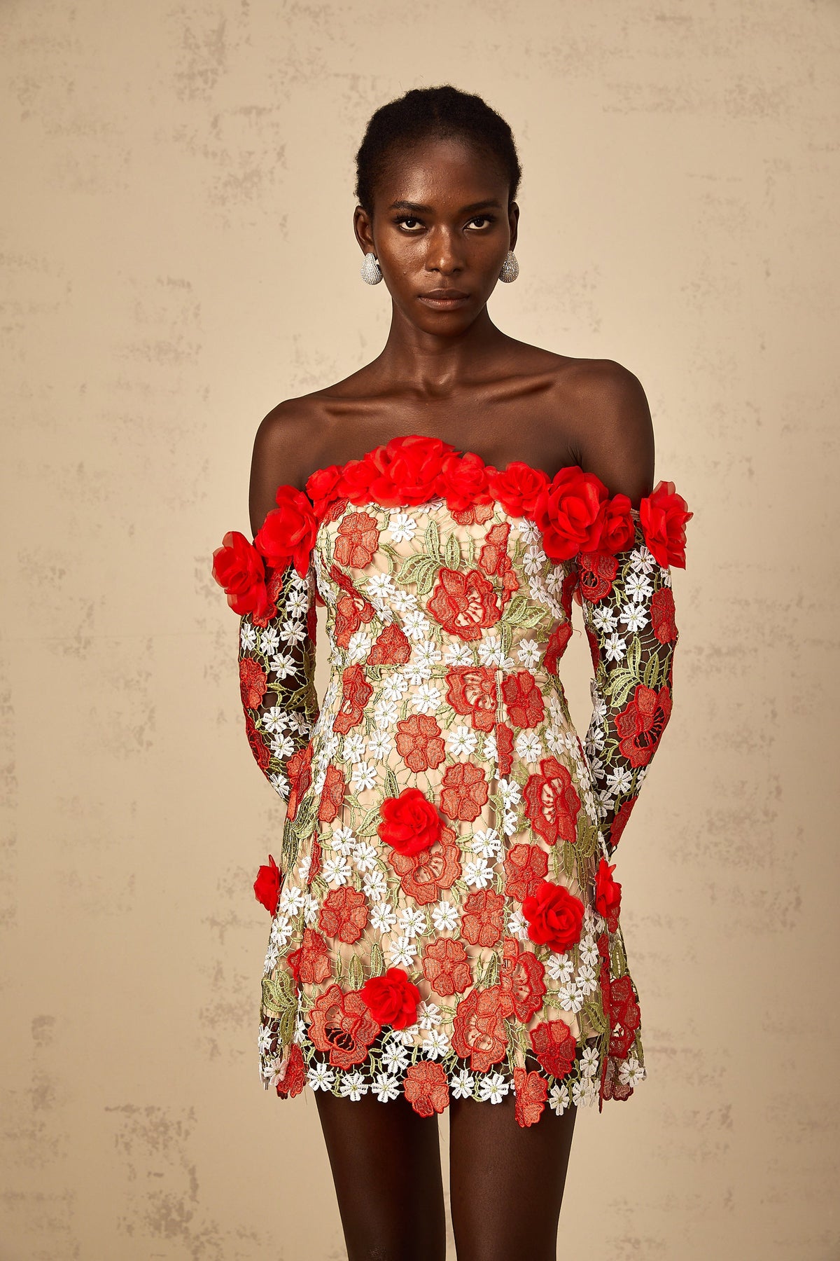 Anaya Red Rose Appliqué Embroidered Mini Dress