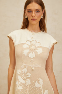 Manon Neutral Floral Embroidered Crochet Mini Dress