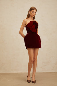Coralie Red Heart Appliqué Velvet Mini Dress