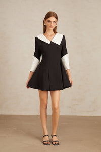 Carine Color Block Flared Mini Dress
