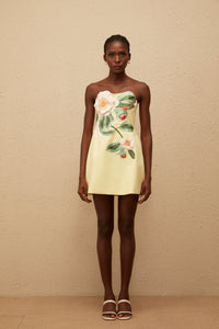 Abigail Yellow Floral Embroidered Mini Dress