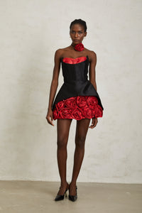Joaquina Black Rose Appliqué Corset Mini Dress