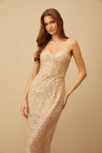 Vienne Neutral Sequin Tulle Corset Maxi Dress