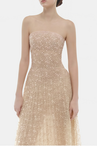 Ginetta Neutral Sequined Floral Lace Maxi Dress