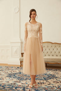 Aviana  Neutral Lace Panel Tulle Midi Dress
