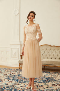 Aviana  Neutral Lace Panel Tulle Midi Dress