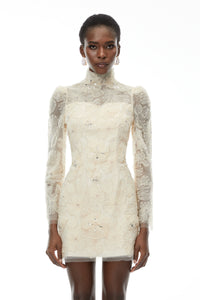 Aurélie Neutral Lace Embroidered Mini Dress