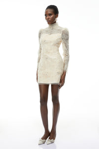 Aurélie Neutral Lace Embroidered Mini Dress