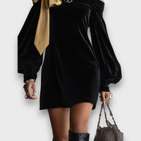 Aurella – Velvet Mini Dress