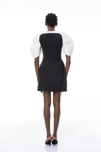Catalina Black Color Blocked Mini Dress