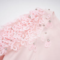 Gunnel Pink Flared Embellished Maxi Gown