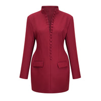Valeria Burgundy Stand Collar Long Sleeve Mini Dress