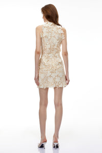 Estelle Neutral High Neck Lace Mini Dress