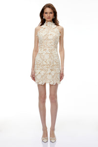 Estelle Neutral High Neck Lace Mini Dress