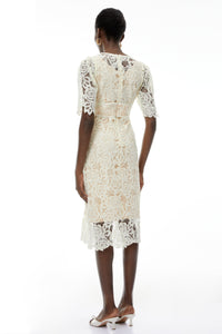Hypatia Neutral Lace Embroidered Midi Dress