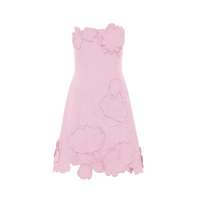 Inga Pink Strapless Floral Embroidered Mini Dress