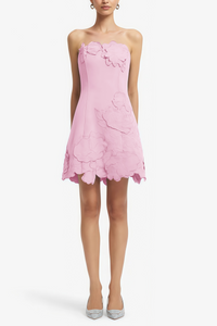 Inga Pink Strapless Floral Embroidered Mini Dress