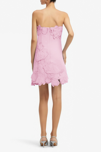 Inga Pink Strapless Floral Embroidered Mini Dress
