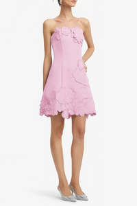 Inga Pink Strapless Floral Embroidered Mini Dress