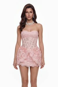 Apolline Pink Floral Embroidered Mini Dress