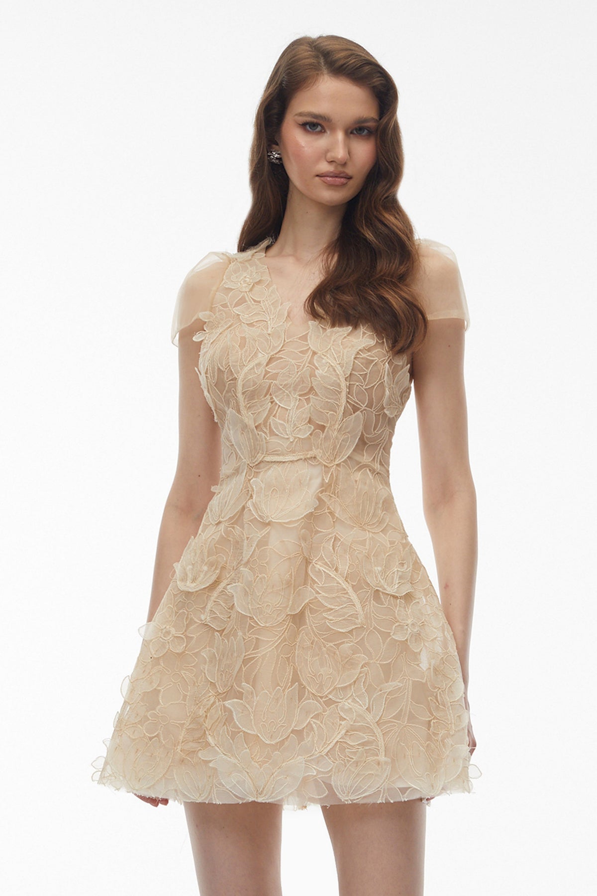 Kore Champagne 3D-Floral Embroidered Tulle Mini Dress