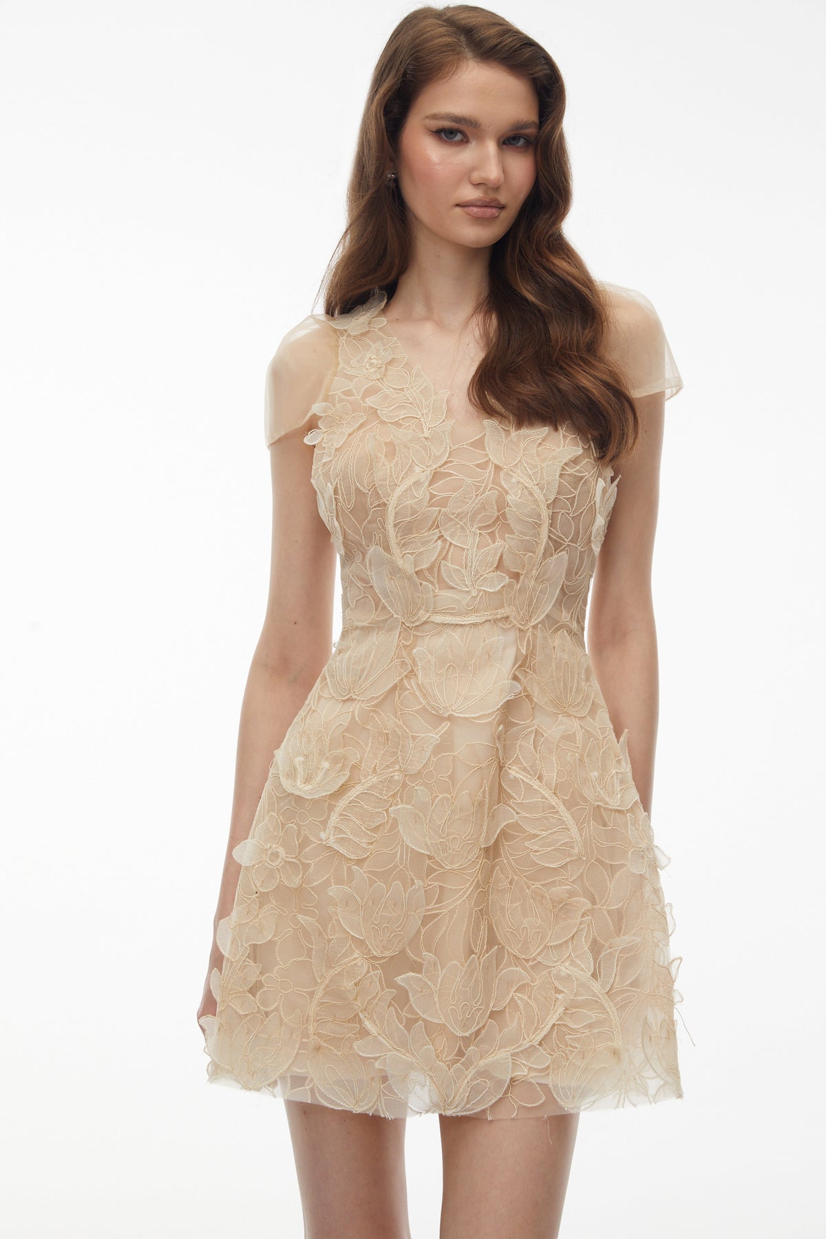 Kore Champagne 3D-Floral Embroidered Tulle Mini Dress