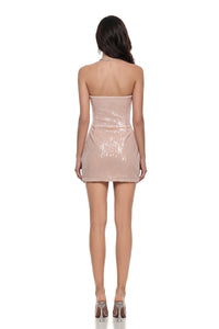 Nicolás Champagne Sequin Mini Dress