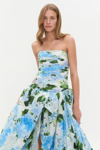Parastoo Blue Hydrangea Floral Print Pleated Maxi Dress