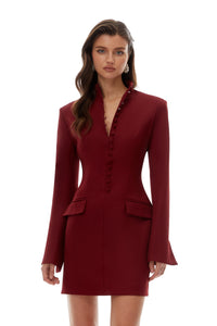 Valeria Burgundy Stand Collar Long Sleeve Mini Dress