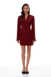 Valeria Burgundy Stand Collar Long Sleeve Mini Dress