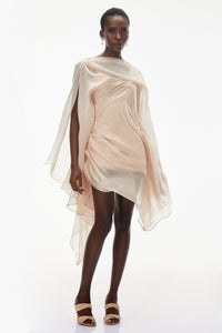 Willow Pink Asymmetrical Ruched Mesh Mini Dress