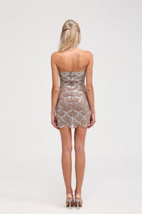 Astrid brown embellished mini dress